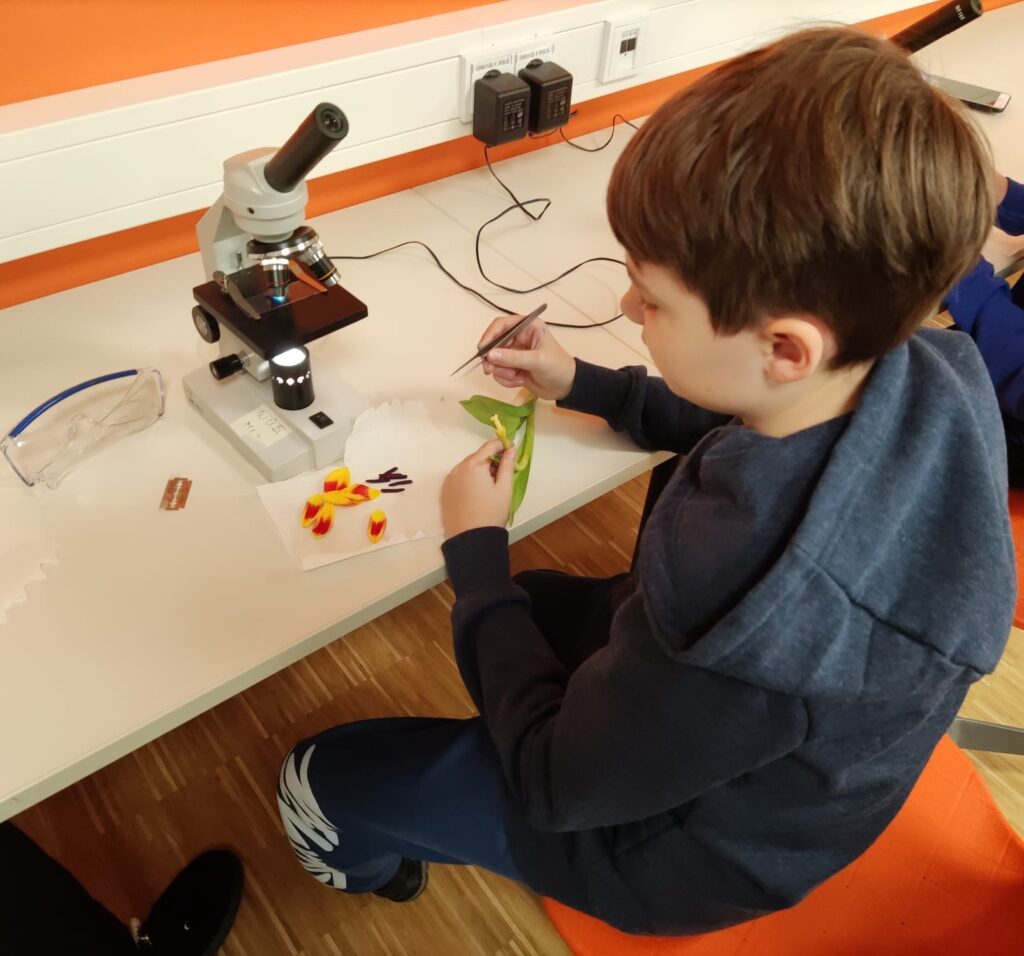 AG Experimentieren und Forschen