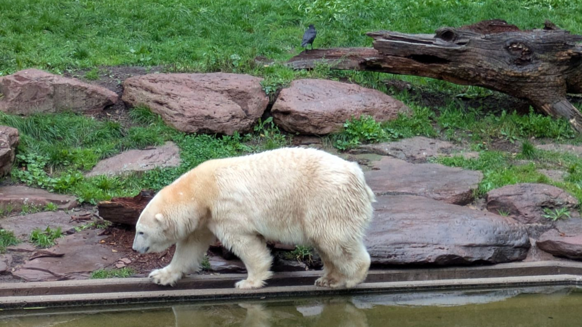Schritte, Spaß und Regen – unser DSR-Wandertag